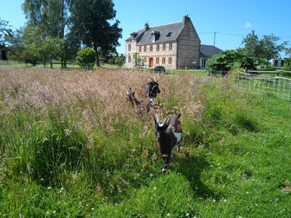 A L'Oree Du Lin Mentheville Exterior photo